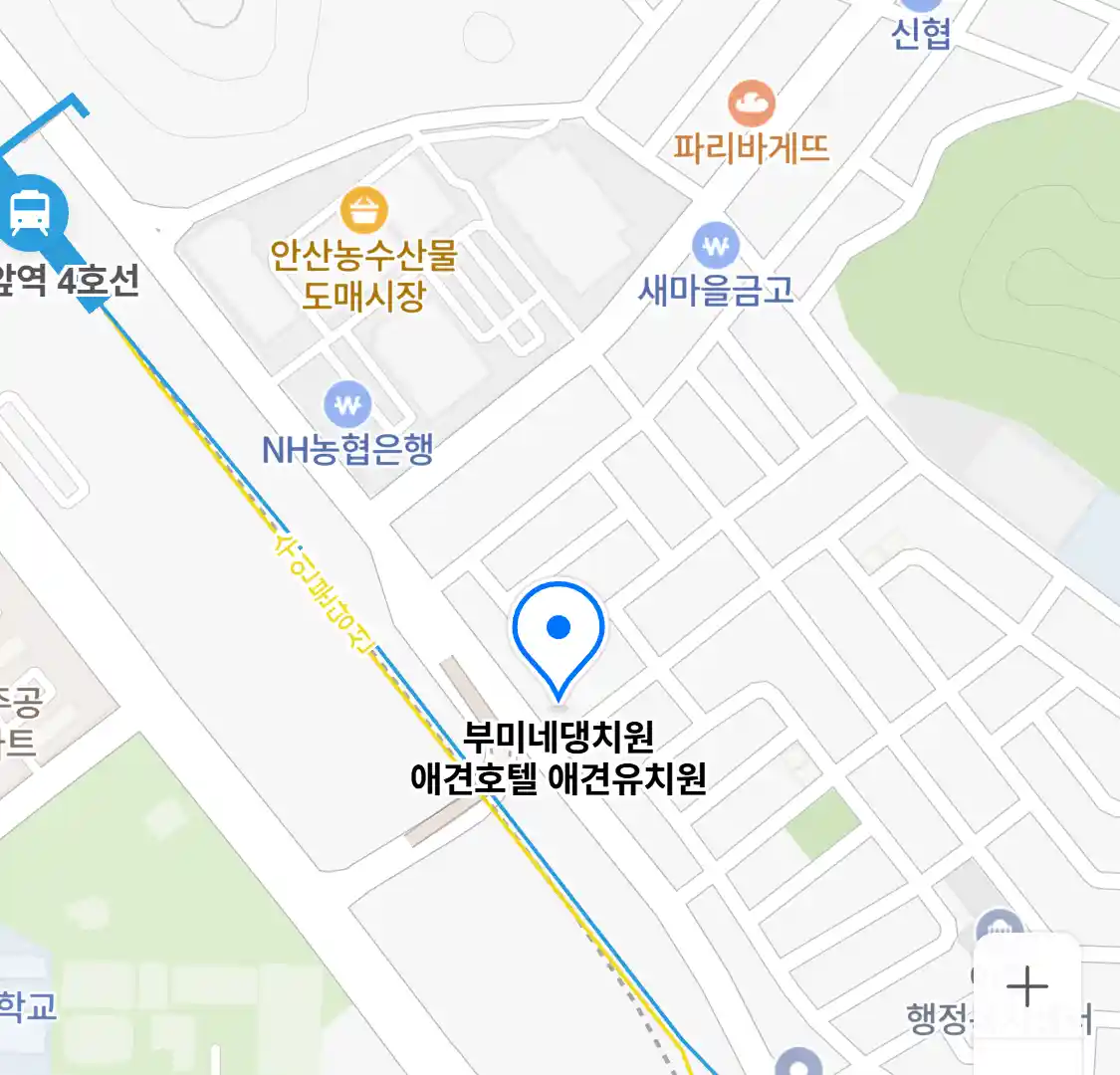 부미네댕치원 애견호텔 애견유치원 위치