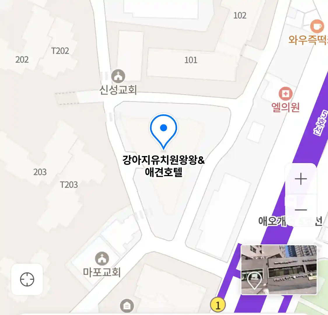 강아지유치원왕왕&애견호텔 위치