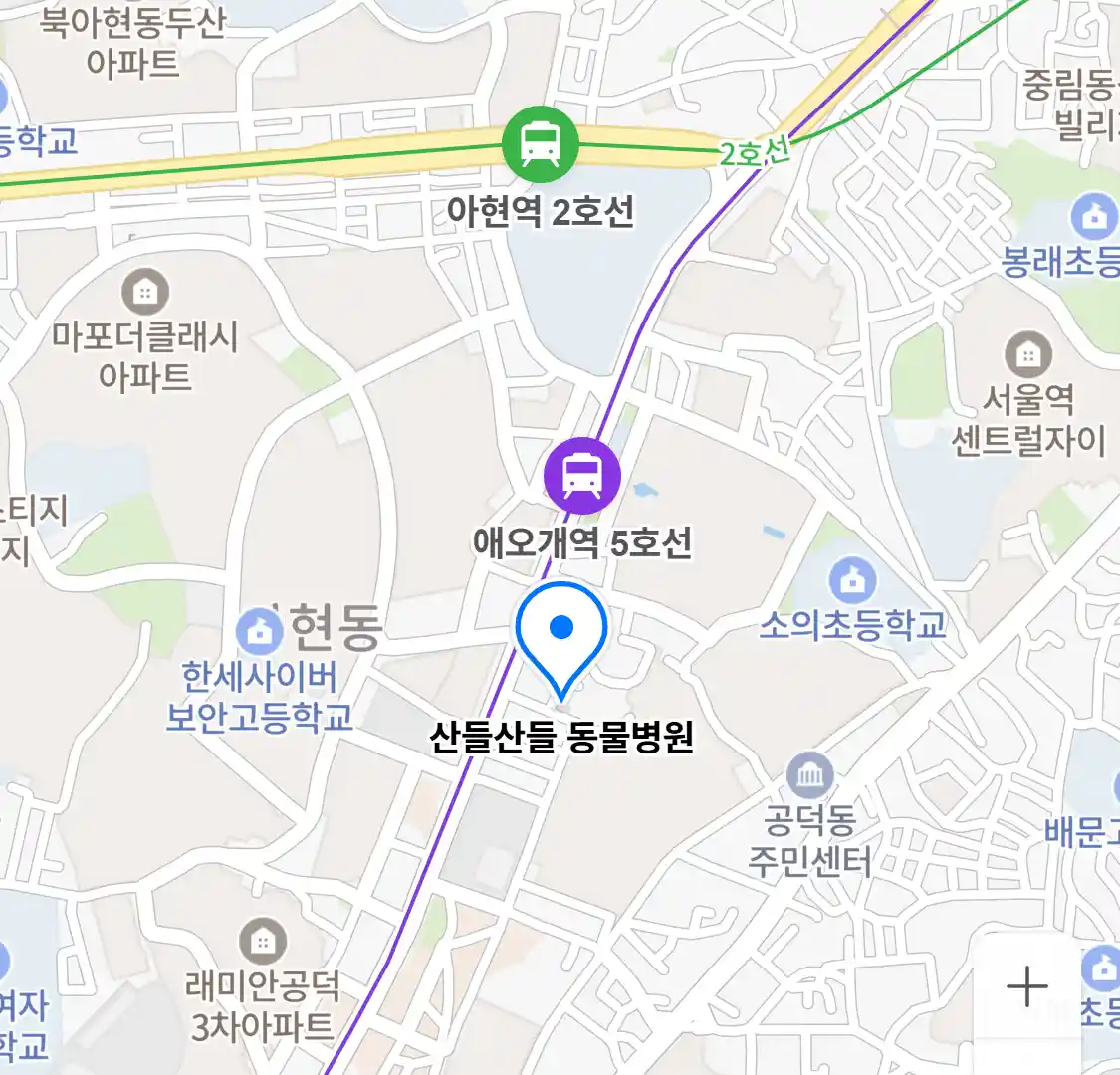 산들산들 동물병원 위치