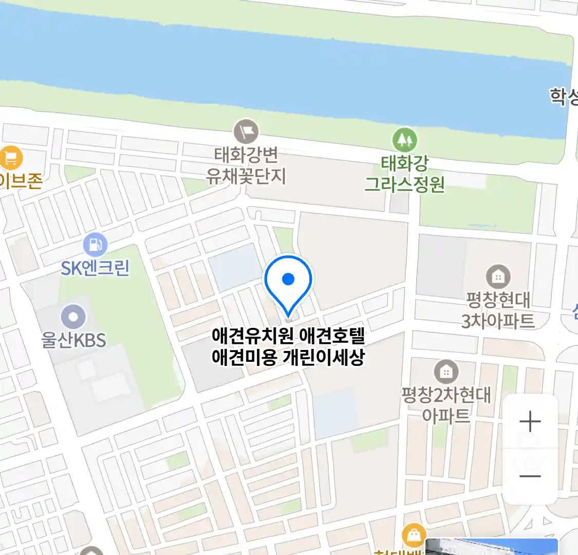 애견유치원 애견호텔 애견미용 개린이세상 위치