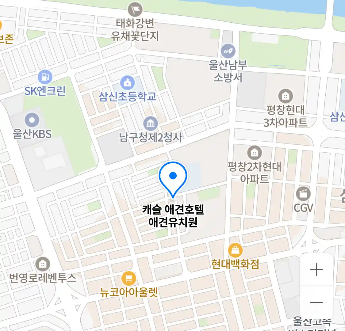 캐슬 애견호텔 애견유치원 위치