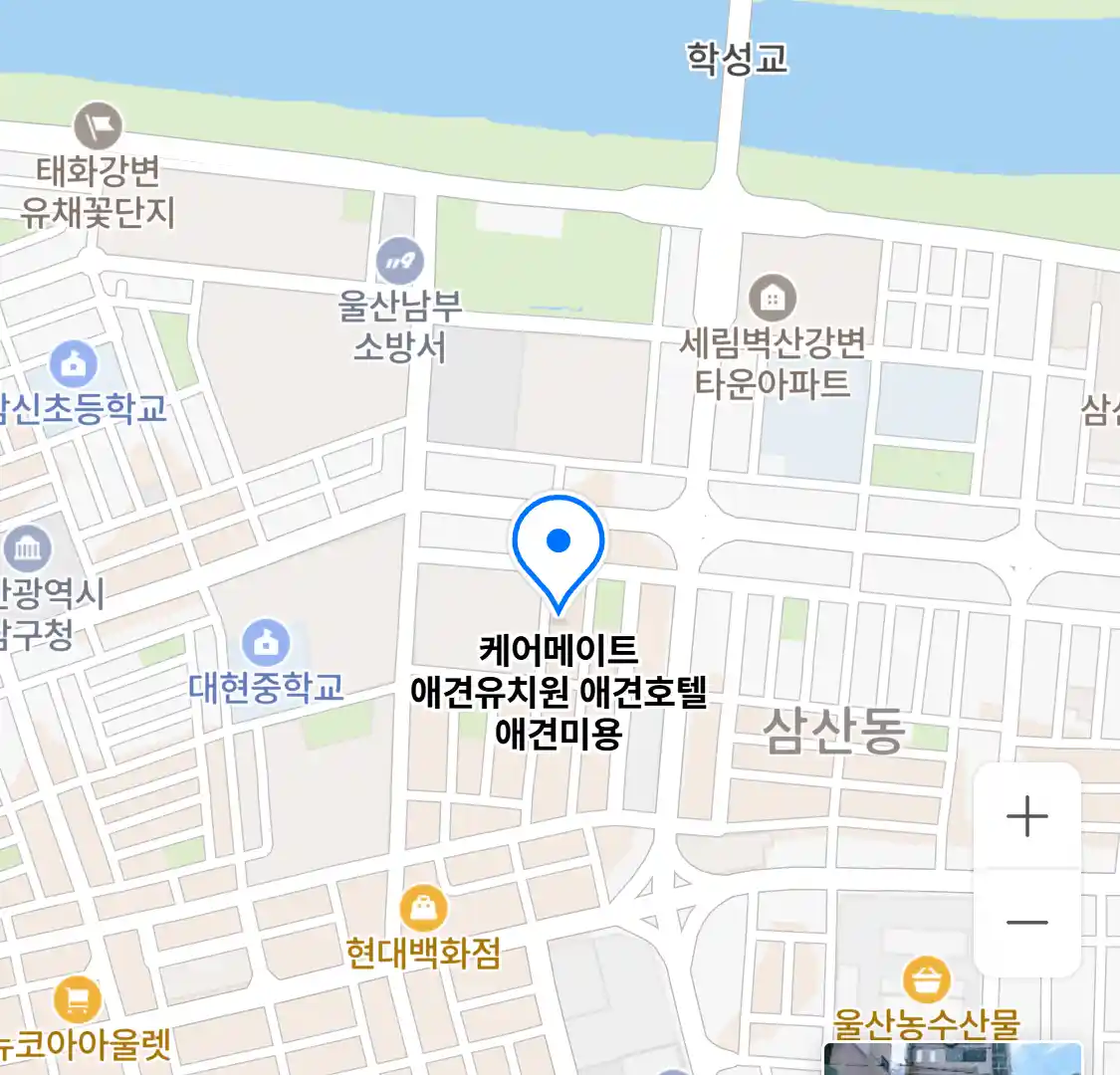 케어메이트 애견유치원 애견호텔 애견미용 위치