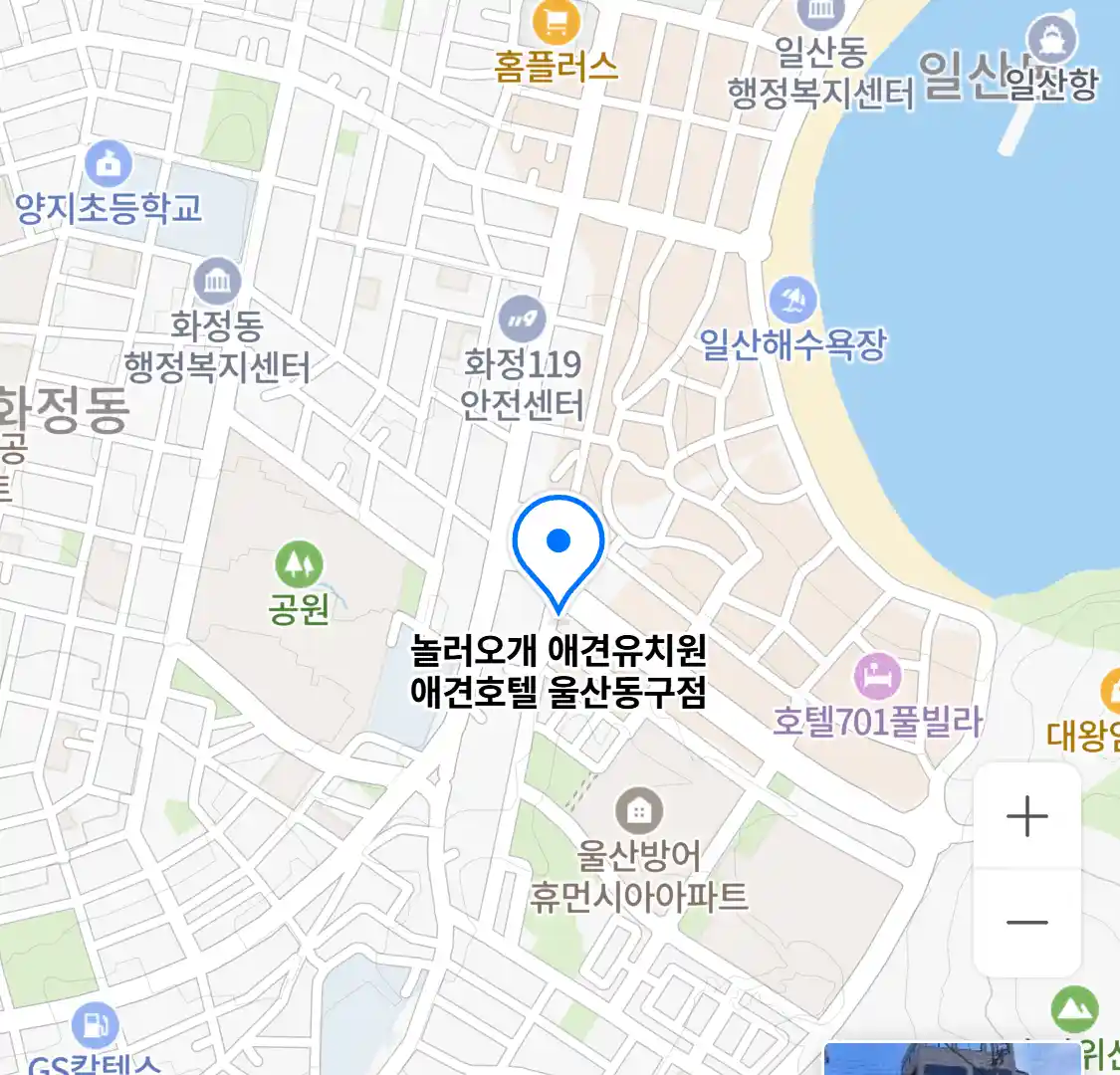 놀러오개 애견유치원 애견호텔 울산동구점 위치