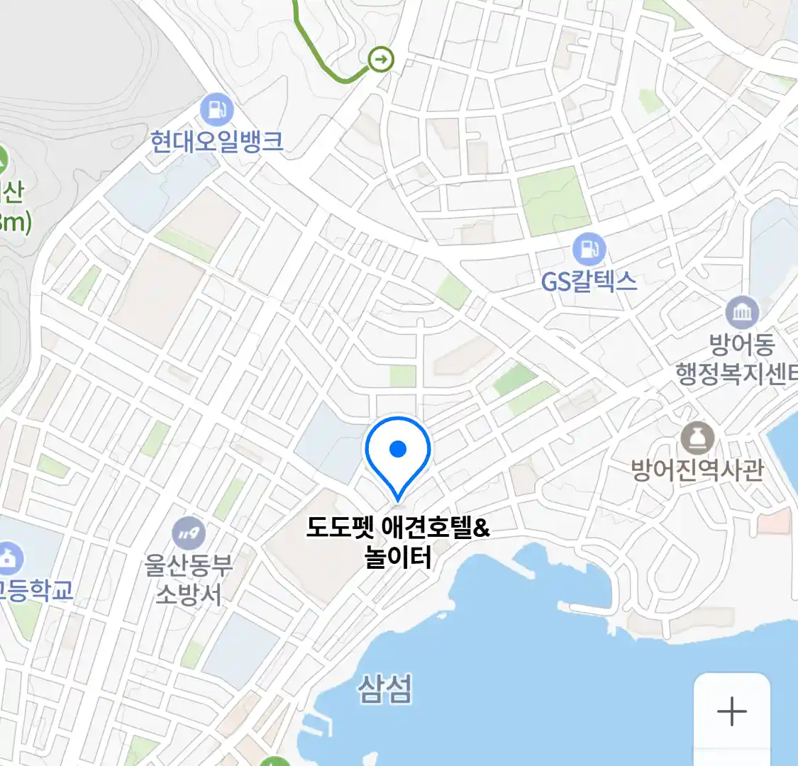 도도펫 애견호텔&놀이터 위치