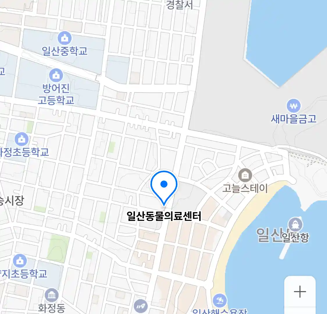 일산동물의료센터 위치