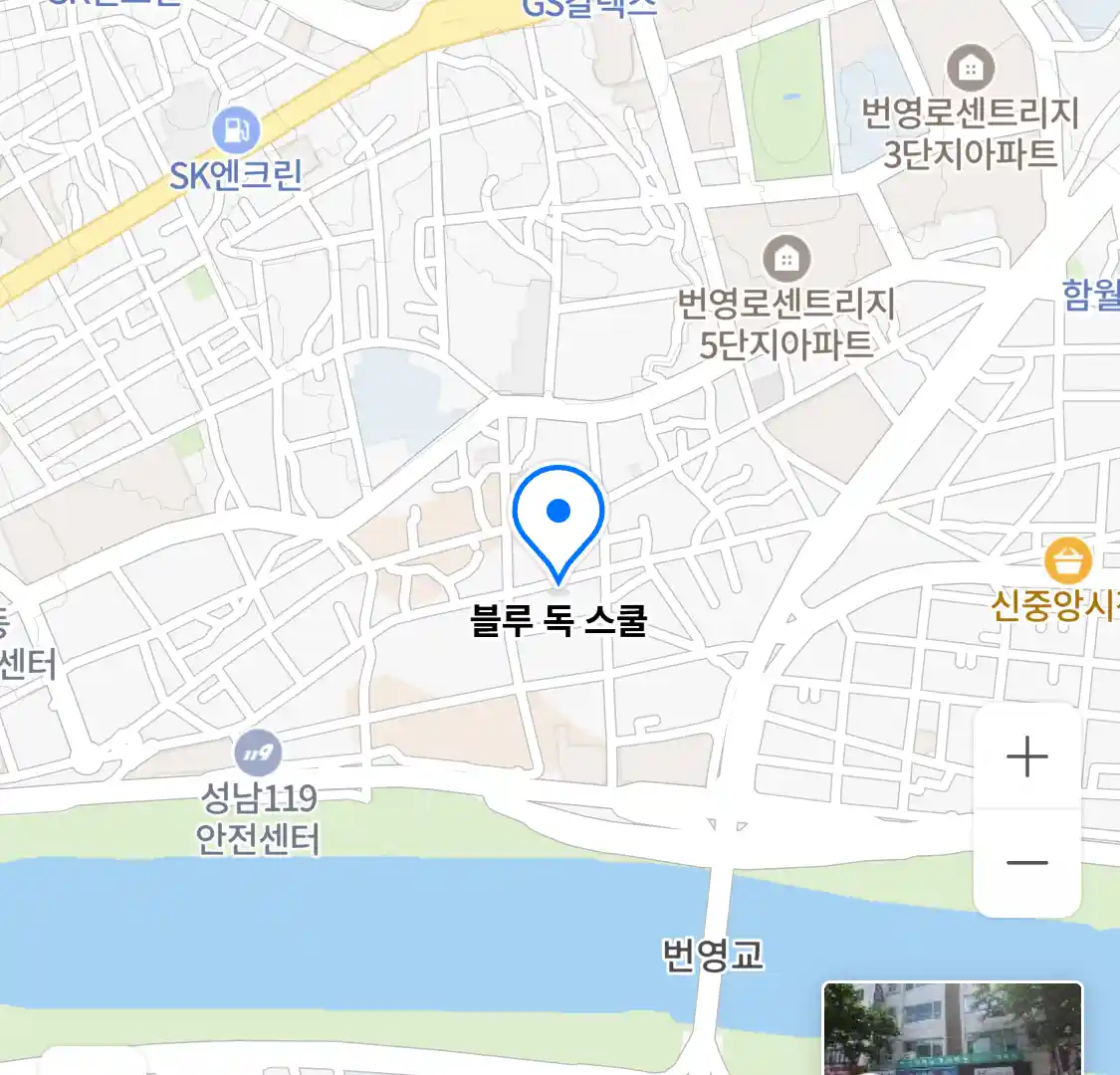 블루 독 스쿨 위치