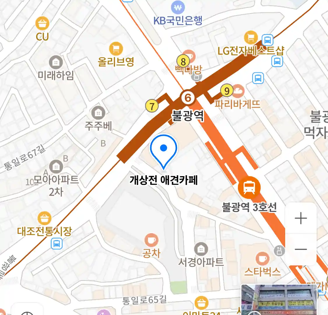 개상전 애견카페 지도