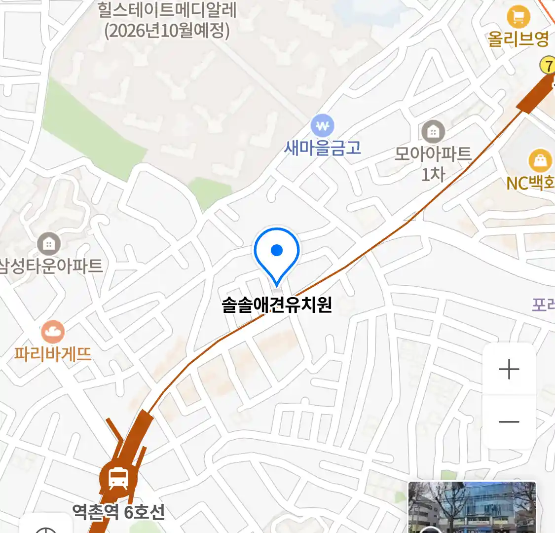 솔솔애견유치원 지도