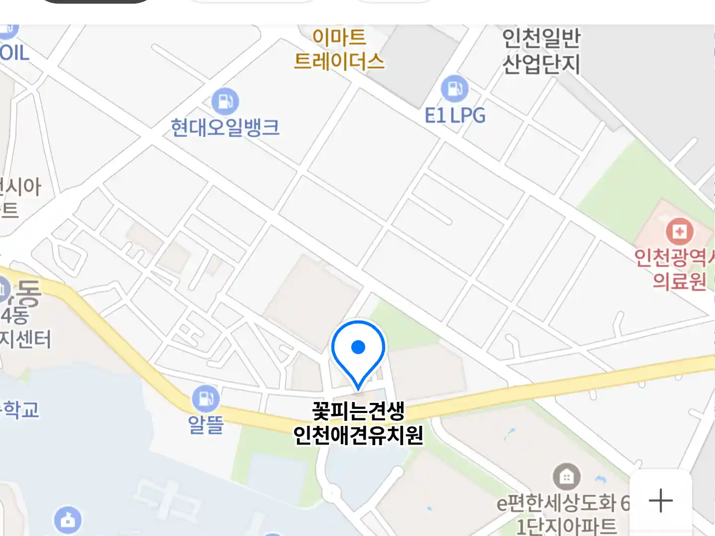 꽃피는견생 인천애견유치원 위치