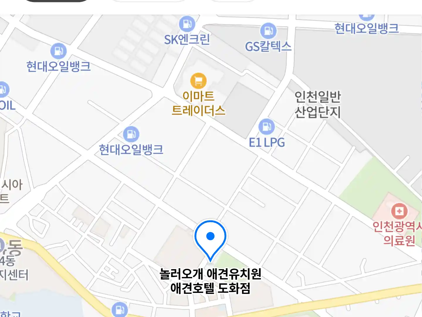 놀러오개 애견유치원 애견호텔 도화점 위치