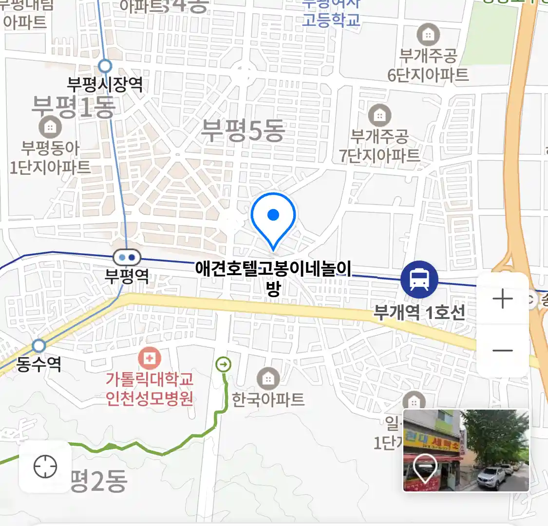 애견호텔고봉이네놀이방 위치