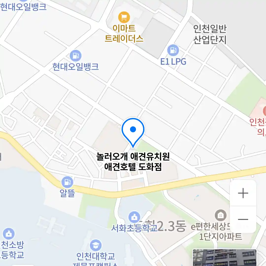 놀러오개 애견유치원 애견호텔 도화점 위치
