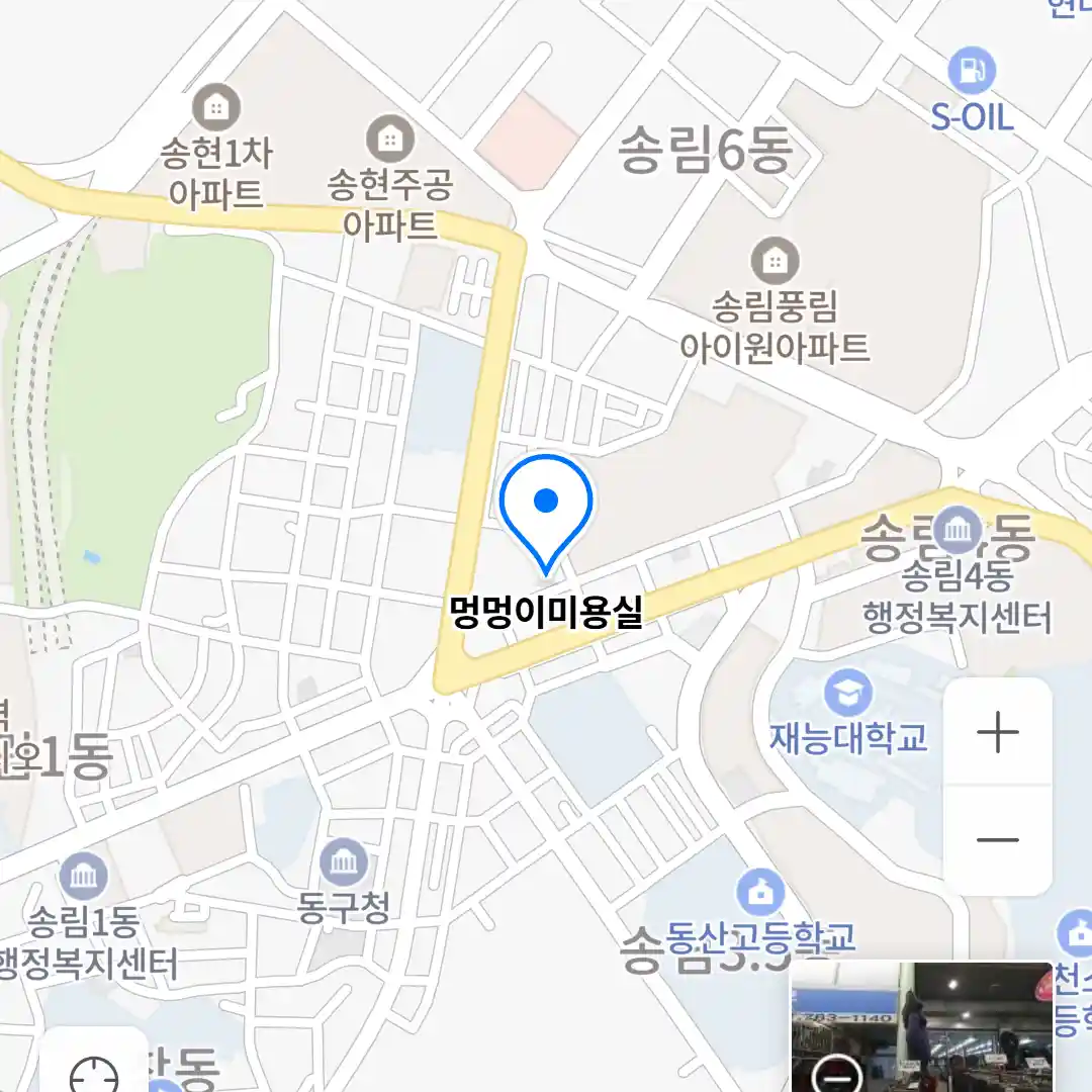 멍멍이미용실 위치