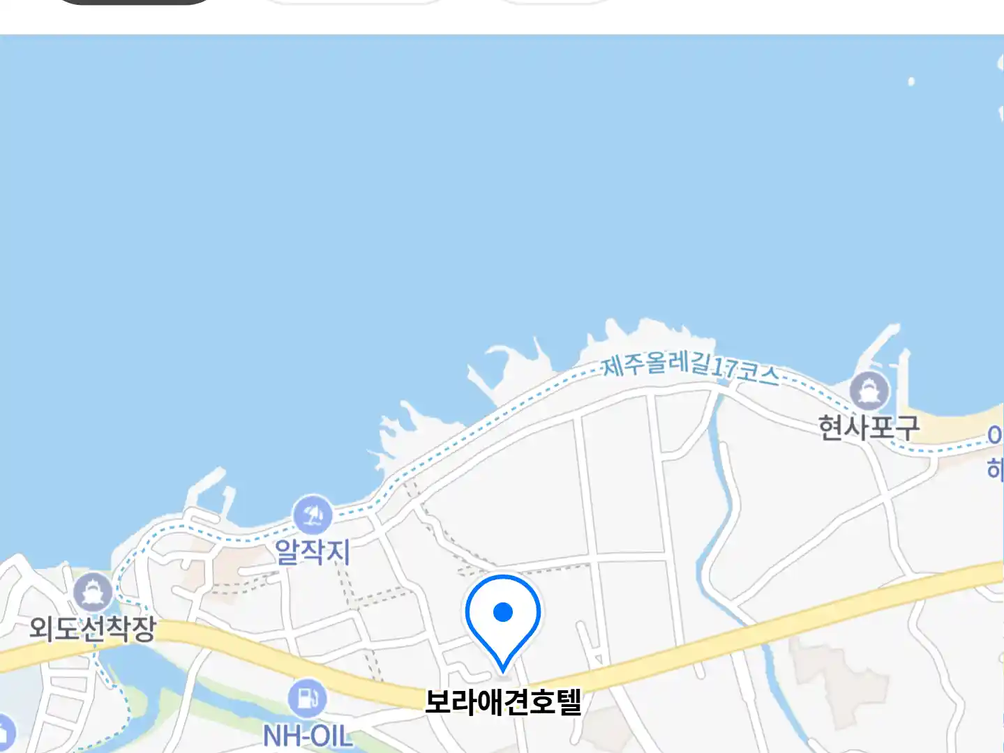 보라애견호텔 위치