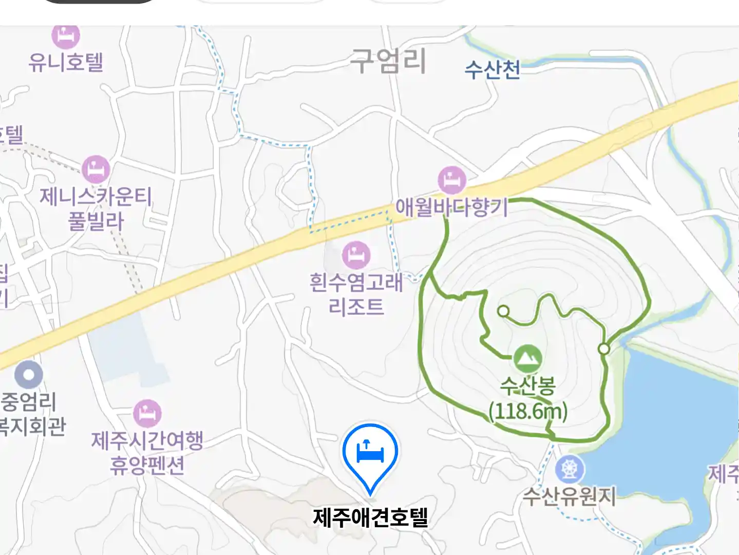 제주애견호텔 위치