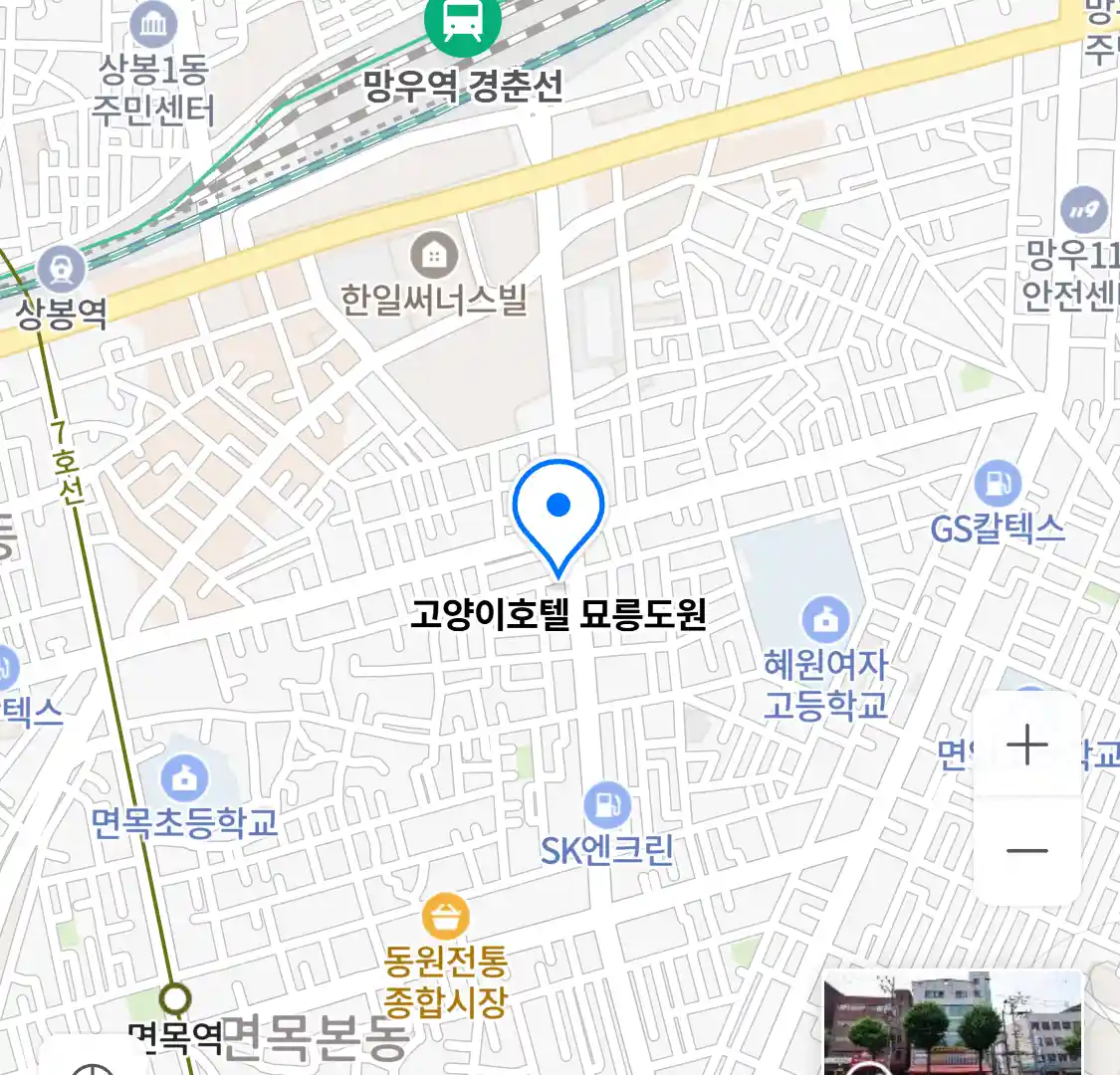 고양이호텔 묘릉도원 위치