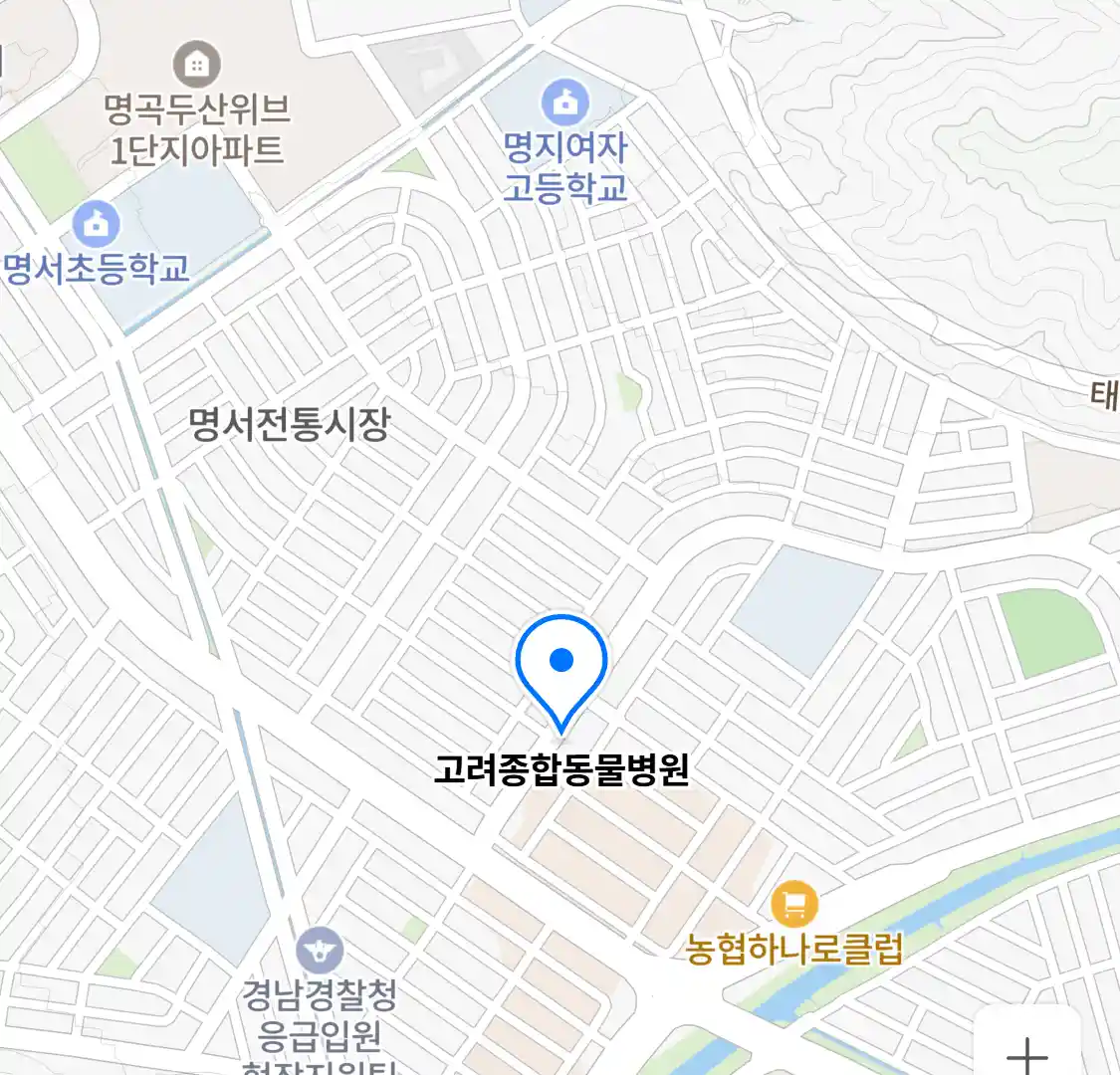 고려종합동물병원 위치
