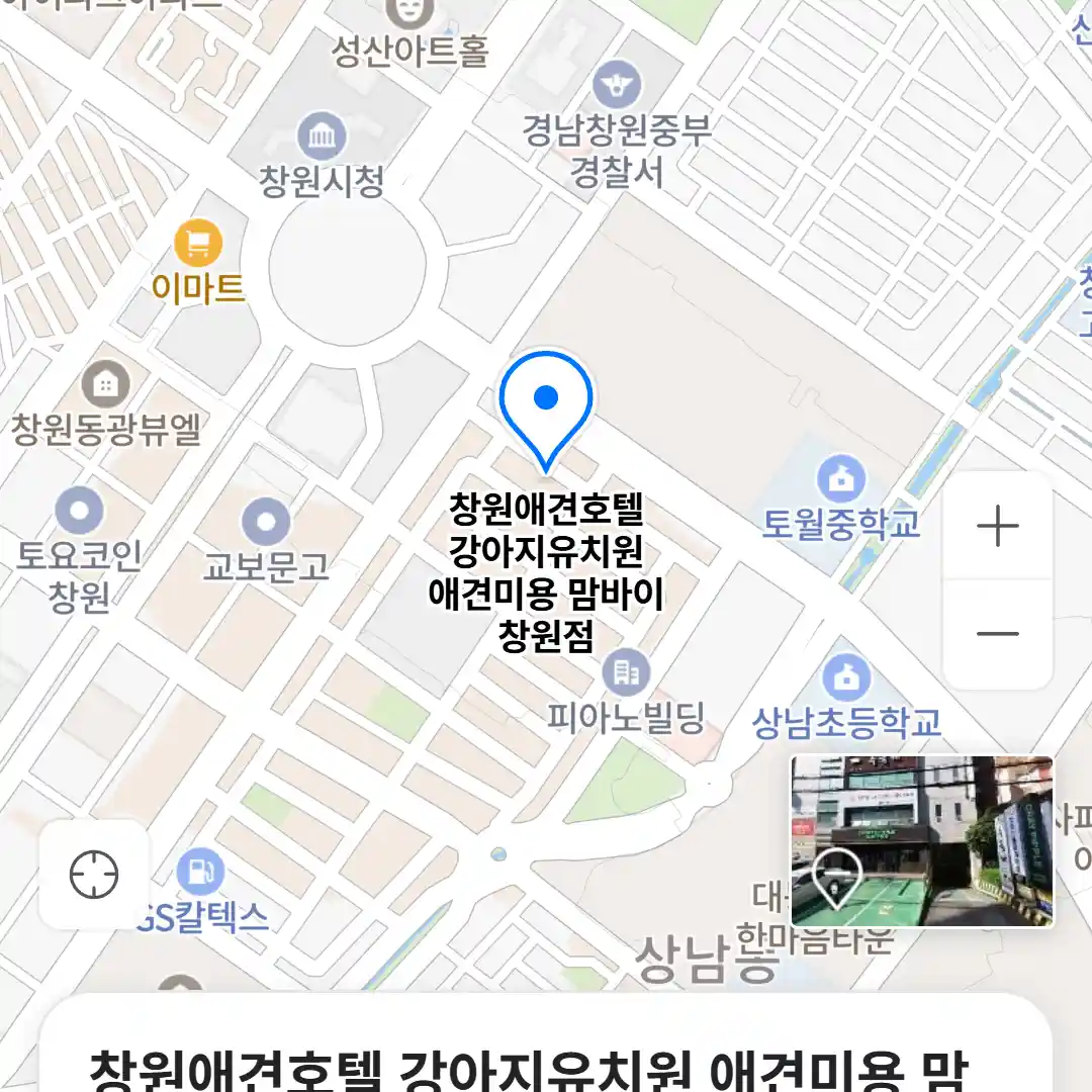 창원애견호텔 강아지유치원 애견미용 맘바이 창원점 위치