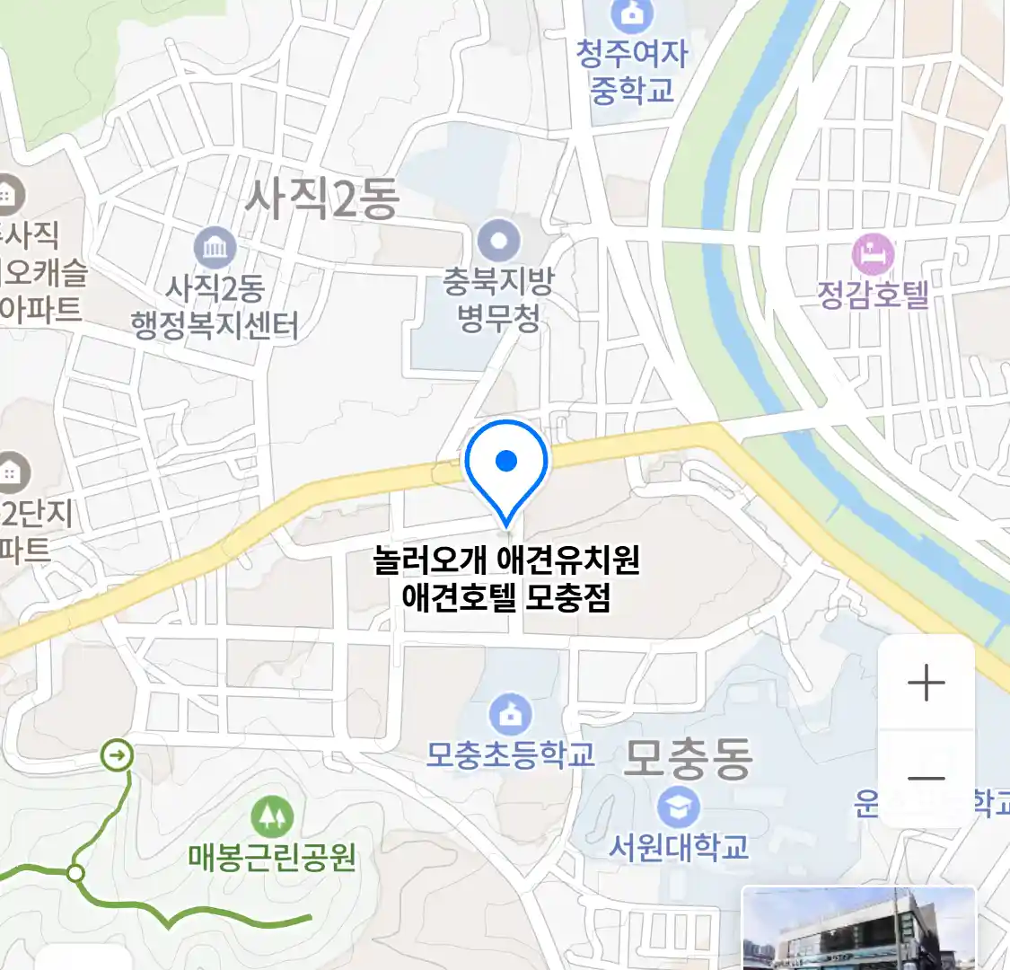놀러오개 애견유치원 애견호텔 모충점 위치