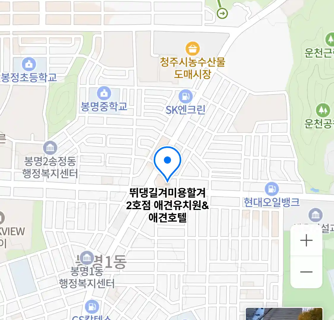 뛰댕길겨미용할겨 2호점 애견유치원&애견호텔 위치