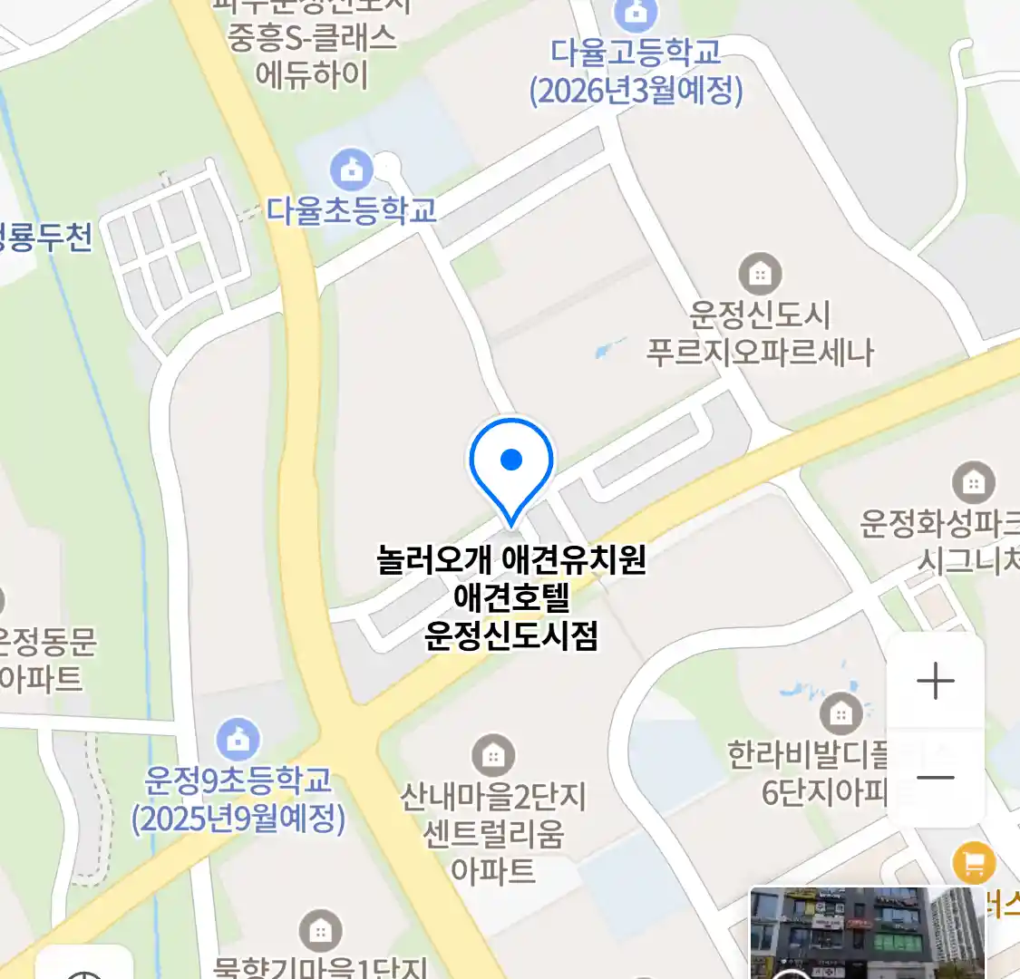 놀러오개 애견유치원 애견호텔 운정신도시점 위치