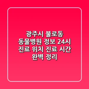 광주시 불로동 동물병원 정보: 24시 진료, 위치, 진료 시간 완벽 정리