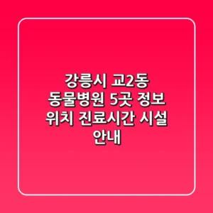 강릉시 교2동 동물병원 5곳 정보 - 위치, 진료시간, 시설 안내