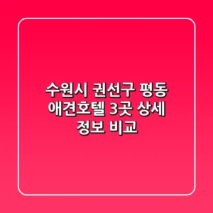 수원시 권선구 평동 애견호텔 3곳 상세 정보 비교