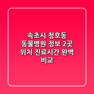 속초시 청호동 동물병원 정보 - 2곳 위치, 진료시간 완벽 비교