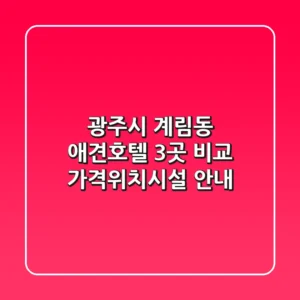 광주시 계림동 애견호텔 3곳 비교 - 가격/위치/시설 안내