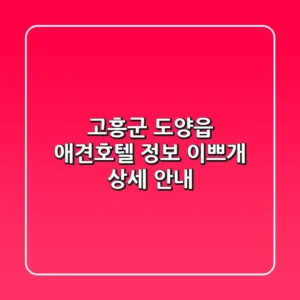 고흥군 도양읍 애견호텔 정보: 이쁘개 상세 안내