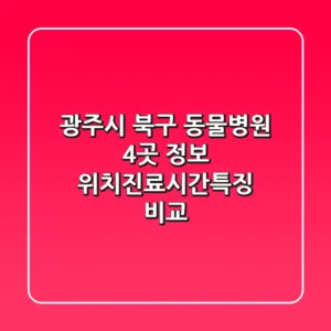 광주시 북구 동물병원 4곳 정보 - 위치/진료시간/특징 비교