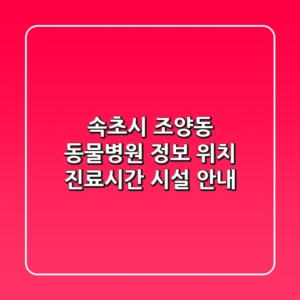 속초시 조양동 동물병원 정보 - 위치, 진료시간, 시설 안내