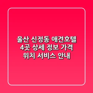 울산 신정동 애견호텔 4곳 상세 정보 - 가격, 위치, 서비스 안내