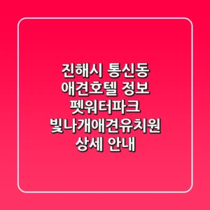 진해시 통신동 애견호텔 정보 - 펫워터파크, 빛나개애견유치원 상세 안내