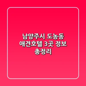 남양주시 도농동 애견호텔 3곳 정보 총정리