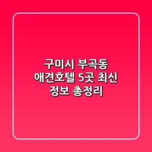 구미시 부곡동 애견호텔 5곳 - 최신 정보 총정리