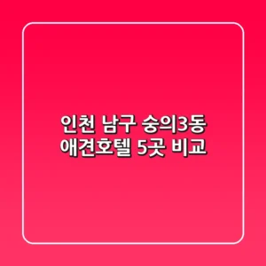 인천 남구 숭의3동 애견호텔 5곳 비교