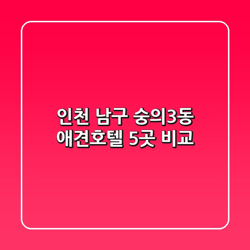 인천 남구 숭의3동 애견호텔 5곳 비교