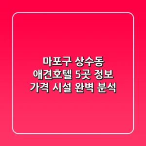 마포구 상수동 애견호텔 5곳: 정보, 가격, 시설 완벽 분석