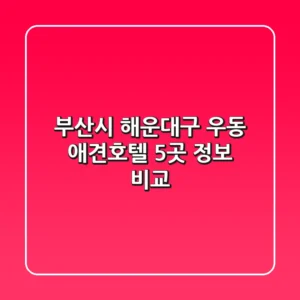 부산시 해운대구 우동 애견호텔 5곳 정보 비교