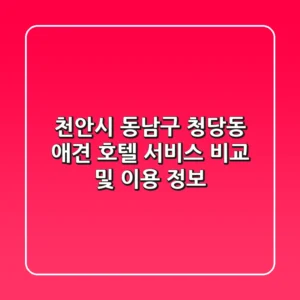 천안시 동남구 청당동 애견 호텔: 서비스 비교 및 이용 정보