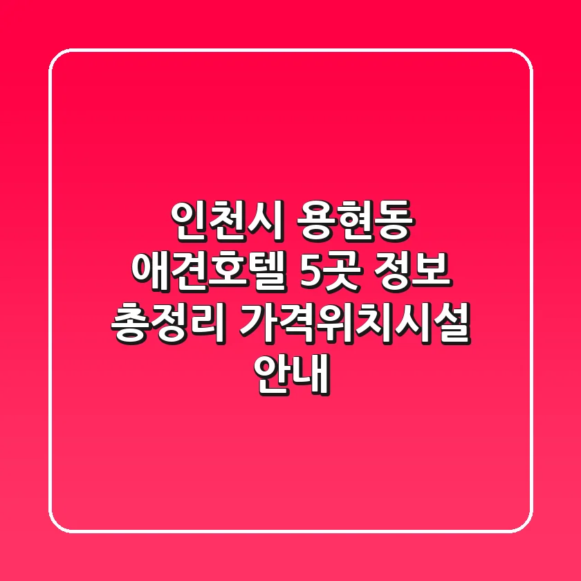 인천시 용현동 애견호텔 5곳 정보 총정리 - 가격/위치/시설 안내