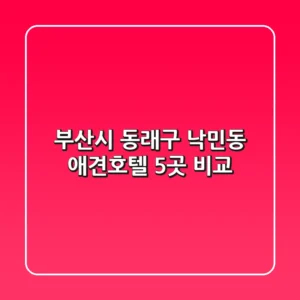 부산시 동래구 낙민동 애견호텔 5곳 비교