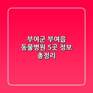 부여군 부여읍 동물병원 5곳 정보 총정리