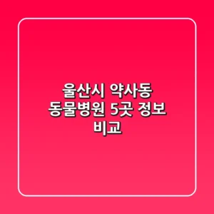 울산시 약사동 동물병원 5곳 정보 비교