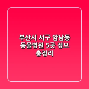 부산시 서구 암남동 동물병원 5곳 정보 총정리