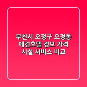 부천시 오정구 오정동 애견호텔 정보: 가격, 시설, 서비스 비교