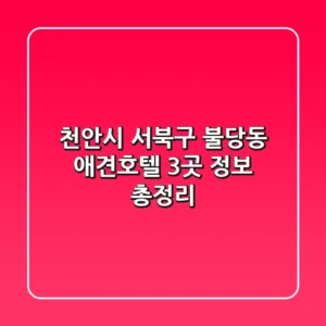천안시 서북구 불당동 애견호텔 3곳 정보 총정리