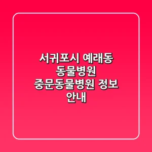 서귀포시 예래동 동물병원: 중문동물병원 정보 안내